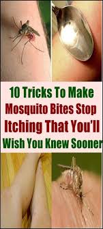 Like desuetude, i get bitten when no one. Pin On All About Health