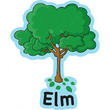 Elm tree sign UD04236 | School Signs, Nursery Signs ...