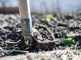 Maybe you would like to learn more about one of these? Know Your Different Types Of Soil To Grow A Beautiful Garden Dengarden