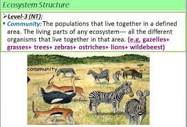 The word habitat has been in use since about 1755 and derives from the latin habitāre, to inhabit, from habēre, to have or to hold.habitat can be defined as the natural environment of an organism, the type of place in which it is natural for it to live and grow. Ecology Community Ecology Ecosystems Community