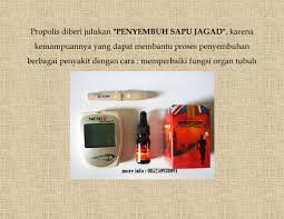 Pin Oleh British Propolis Tenggarong Di British Propolis Beri Penyembuhan