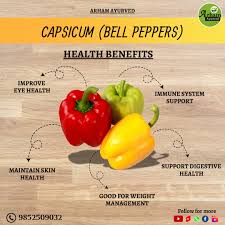 Image result for Capsicum