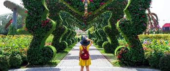 Check spelling or type a new query. Dubai Miracle Garden Timings Location And Tickets Price
