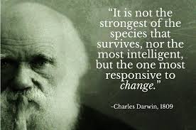 Schema Evolution and Gravitation to Rigidity: a tale of calmness in the  lives of structured data