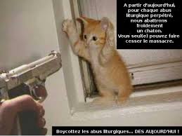 Résultat de recherche d'images pour "chaton drole et mignon"