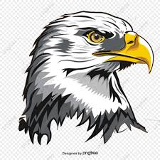 Gambar burung cililinformat png | also, find more png clipart about clipart backgrounds,banner clipart,logo clipart. Gambar Burung Png Vektor Psd Dan Clipart Dengan Latar Belakang Transparan Untuk Download Gratis Pngtree