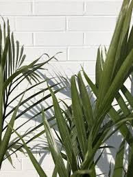 Jul 27, 2021 · green background aesthetic plain : Aesthetic Wallpapers White And Green Novocom Top