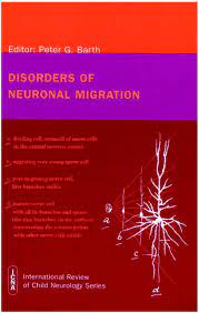 Disorders Of Neuronal Migration American Journal Of Neuroradiology