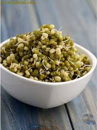 Große auswahl an green sprouts. What Is Boiled Sprouted Moong Boiled Sprouted Mung Boiled Mung Sprouts Glossary Benefits Uses Recipes With Boiled Sprouted Moong Boiled Sprouted Mung Boiled Mung Sprouts
