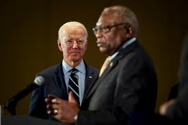 Image result for Bidens buchneri