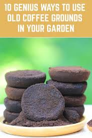 10 Genie Moglichkeiten Nutzen Um Alte Kaffeesatz In Ihrem Garten Gemuse Garten Garten Essen Kaffeemehl Aus In 2020 Coffee Grounds Home Vegetable Garden Plants