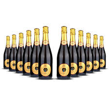 It is the diamond point of our production. Franciacorta Brut Monzio Compagnoni 2016er Franciacorta 12 X 0 75l 168 00