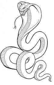 Cobra Snake Drawings Snake Coloring Pages Snake Drawing Cobra Snake