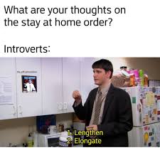 Your meme was successfully uploaded and it is now in moderation. What Are Your Thoughts On The Stay At Home Order Meme Ahseeit