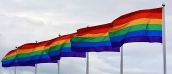 Tunisia has taken rhetorical steps toward ending institutionalized discrimination against lgbt people. Internationaler Tag Gegen Homo Und Transphobie Grune Verdi Verc