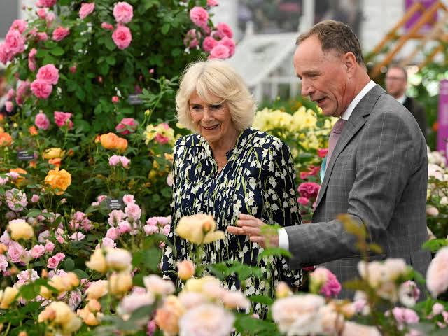 In memory of David J.C. Austin: the roses gardeners return to time and  again | House & Garden