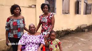 Image result for Afrosolen bainesii