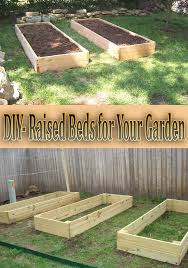 We Made Three 8x3 Raised Beds From Pressure Treated Wood Pressure Treated Is Chea Raised Garden Beds Diy Vegetable Garden Raised Beds Raised Bed Garden Design