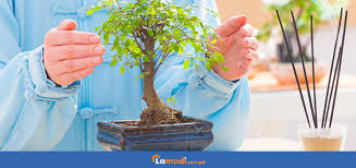 Ev dekorasyonunda feng shui felsefesini uygulayabilmek için bu dekorasyonun kurallarını bilmek gerekiyor. Simple Home Feng Shui Tips For A Prosperous 2019 Lamudi