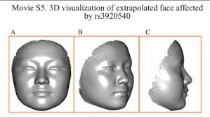 Genome-wide variants of Eurasian facial shape differentiation and a  prospective model of DNA based face prediction