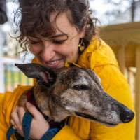 Hire Across the Pond