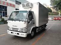 Cold Room Truck Isuzu 10 Tons Refrigerator Van Box and Truck for Milk  Transportation