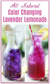 Butterfly Pea Flower Lavender Lemonade Magic Lemonade Primally Inspired In 2021 Lavender Lemonade Lemonade Recipes Butterfly Pea Flower