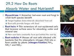 Is the living tissue that carries organic nutrients, in particular, sucrose, a sugar, to all parts of the plant where needed. 29 1 Plant Nutrients And Availability In Soil Ppt Video Online Download