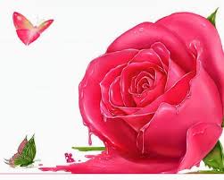 To Set This Beautiful Pink Flowers Background On Your Desktop Select Above Resolution Lin Pink Flowers Wallpaper Pink Flowers Background Rose Flower Wallpaper