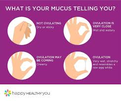 Time To Get Intimate Tracking Our Menstrual Cycle Gives Us A Deeper Understanding Of Not Only Our Hormona In 2020 Cervical Mucus Chart Menstrual Health Cervical Mucus