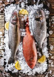 De La Mer Fish Market Fresh Fish Photography Fish Food Photography Fresh Fish Display