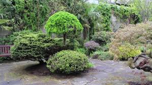 Maybe you would like to learn more about one of these? Beautiful Conifer Garden Footage Stock Footage Video 100 Royalty Free 10020590 Shutterstock