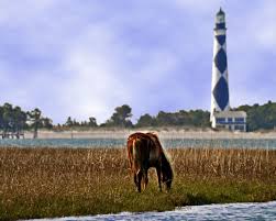 Out About In Carteret County Harkers Island Cape