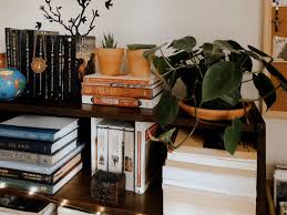 🤎 blacklivesmatter 🖤all adsense revenue created from this video through june will be donated to one of the organizations listed on this page: Book Shelf Backyard Diy Projects Dorm Aesthetic Dorm Plants