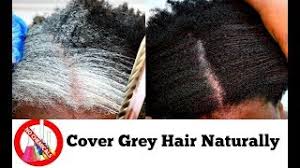 Massage it all over your hair and shampoo as usual. How To Turn White Or Grey Hair Into Black Naturally With No Chemicals Natural Hair Dye Step By Step Youtube