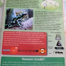 The Living Rainforest Page 3 Zoochat Just to relax and have fun ! zoochat