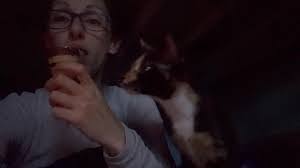 How to deal with an aggressive tortie cat that scratches my toddler?