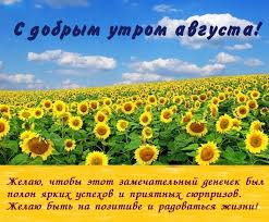 Вас ждут позитивные и актуальные новости, интересные гости и, конечно, заряд оптимизма и жизнелюбия от «первого канала». Kartinki S Dobrym Utrom Avgusta 50 Otkrytok Prikolnye Kartinki I Pozitiv