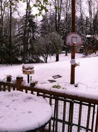 Kevin Schaffner (@KevinSchaffner)