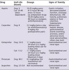 Ibuprofen should not be given to a dog or cat under any circumstance. Nonsteroidal Antiinflammatories Veterian Key