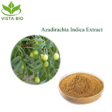 Image result for Azadirachta