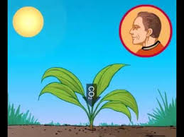 Kitaran ini disebut sebagai kitar nutrien. Kitaran Oksigen Youtube