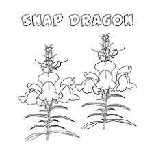 Facebook is showing information to help you better understand the purpose of a page. Top 47 Free Printable Flowers Coloring Pages Online