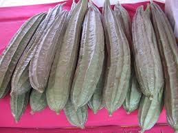 Sekarang ni tidak dapat mau keluar rumah sangat untuk keselamatan jadi kita minyak masak udang (digoreng dahulu). Petola Wikipedia Bahasa Melayu Ensiklopedia Bebas