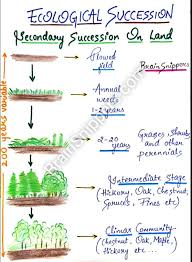 Pin On Biology
