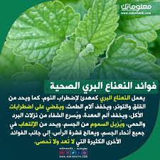 pin on فوائد الاطعمة