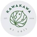 Kawakawa at Salt