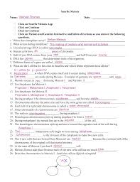 Snurfle Meiosis Worksheet
