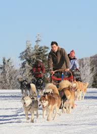 Partez à la rencontre des chiens nordiques ! Reve De Nord Balade En Traineau Sondernach Visit Alsace