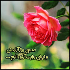 عکس صبح بخیر با گل | بیش از 110 عکس نوشته صبح بخیر گل زیبا و عاشقانه